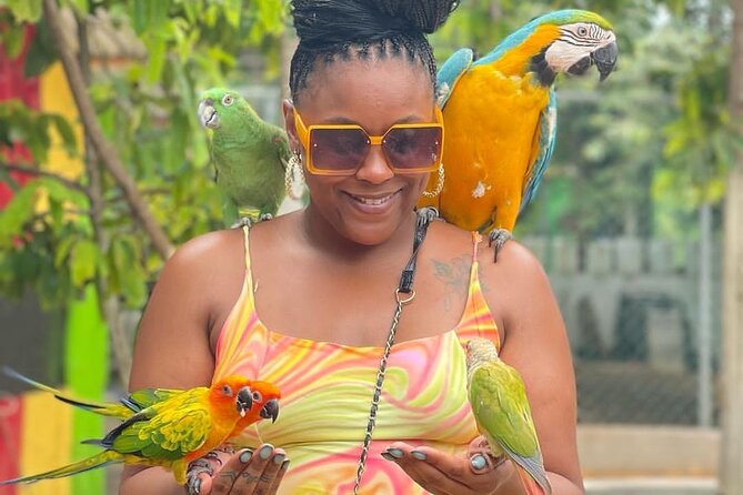 Montego Bay Exotic Herbs, Birds and Animals Interaction Tour - What you’ll do at the Ironshore stop, from parrots to crop lessons