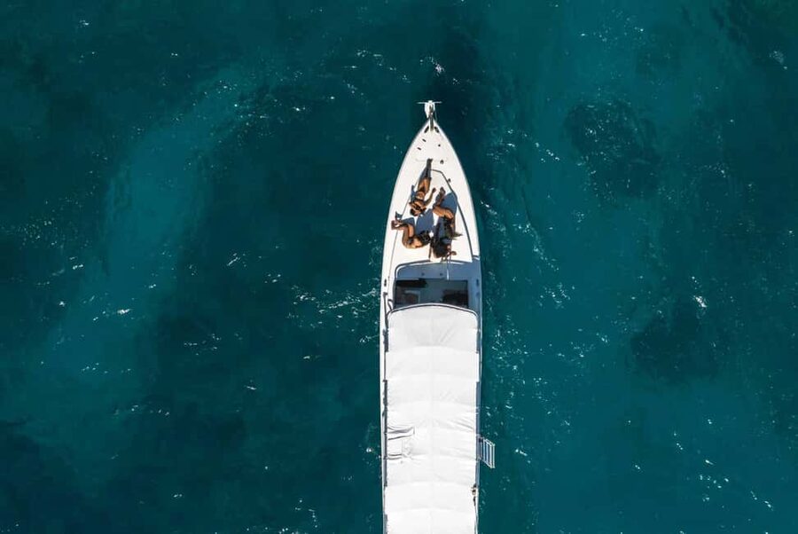 Montego Bay: Full-Day Speedboat Trip to Negril - What to pack so you can enjoy every stop