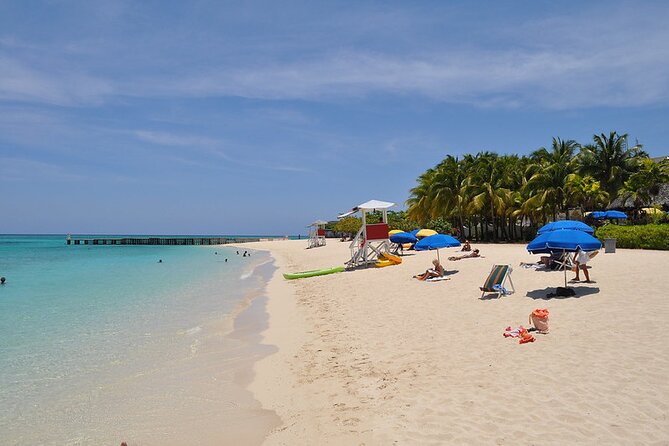 Montego Bay Highlights From Montego Bay Hotels - Margaritaville Montego Bay: Jimmy Buffett vibes in a one-hour slice