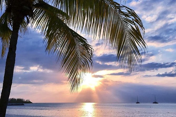 Montego Bay Highlights Tour from Montego Bay - The Private Guide Factor, and Why Glen’s Approach Lands