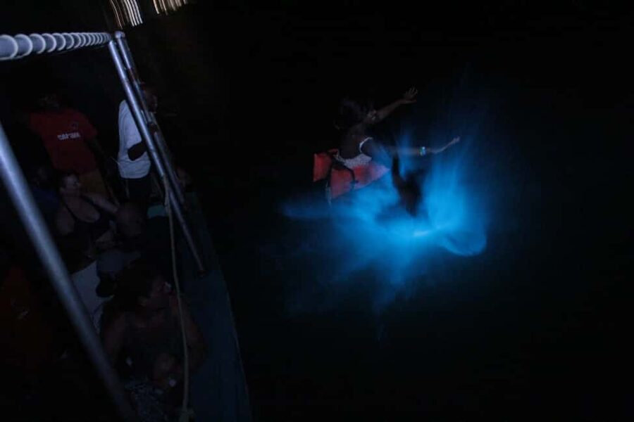 Montego Bay: Luminous Lagoon Evening Boat Tour - What It Feels Like If You Swim and What To Do If You Don’t