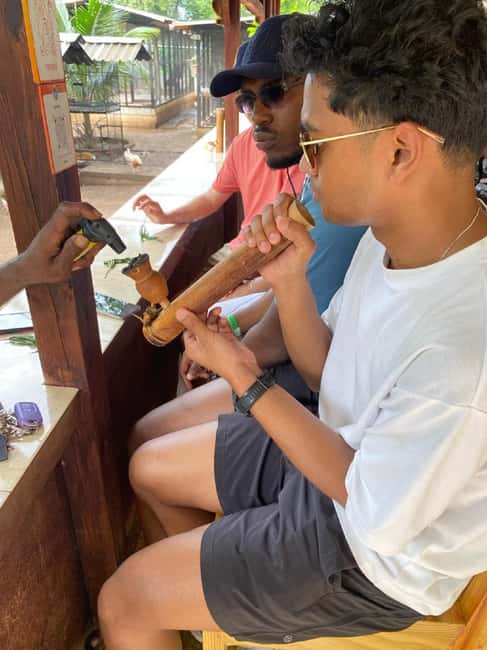 Montego Bay: Marijuana Farm and Bird Sanctuary Tour - A 3-hour private combo in Cornwall County