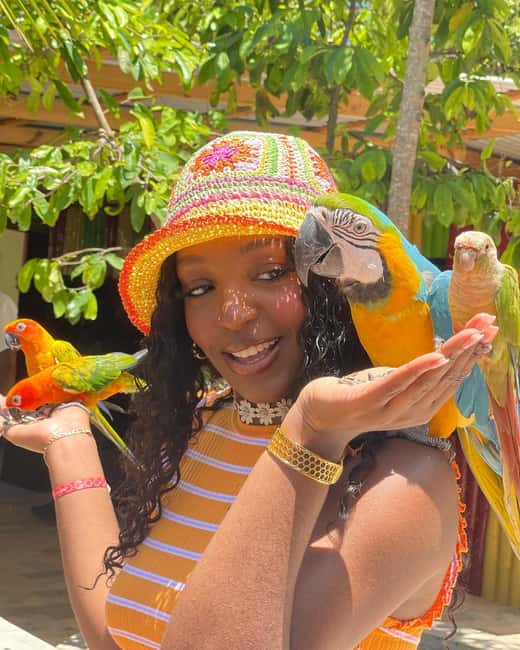 Montego Bay: Marijuana Farm and Bird Sanctuary Tour - Bird sanctuary time: the joy of interaction, plus a welfare check