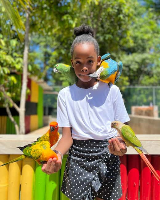 Montego Bay: Marijuana Farm and Bird Sanctuary Tour - Snack stop on the way back: plan your own food strategy