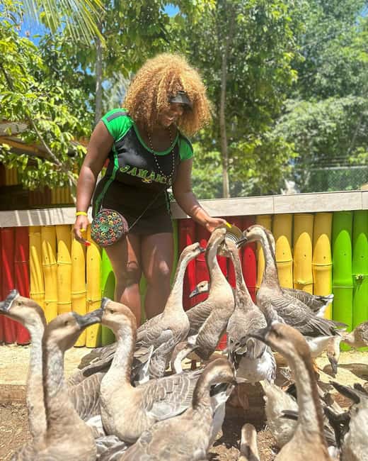 Montego Bay: Marijuana Farm and Bird Sanctuary Tour - What to ask your guide before the day starts