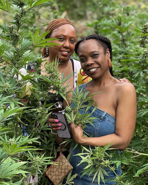 Montego Bay: Marijuana Farm Private Tour with Transportation - Product Sampling: Extracts, Infusions, and How It Usually Works