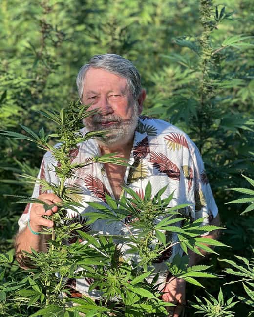 Montego Bay: Marijuana Farm Private Tour with Transportation - Getting There: Pickup Areas and the Comfort of Included Transport