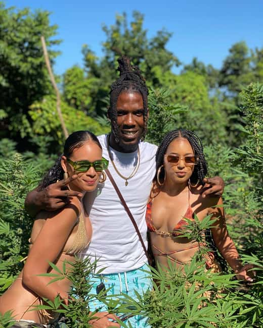 Montego Bay Marijuana Farm Tour - Should You Book the Montego Bay Marijuana Farm Tour?