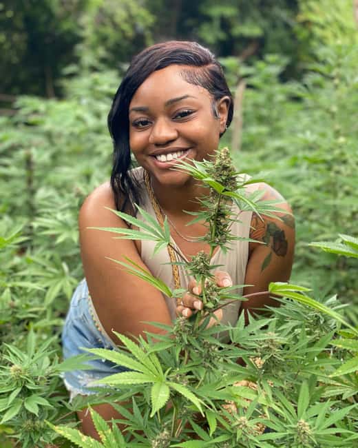 Montego Bay Marijuana Farm Tour - Getting There: Transfers, Pickup Options, and Road Reality