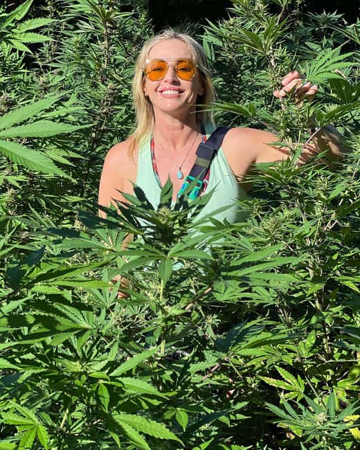 Montego Bay Marijuana Farm Tour - Who Should Book This Tour (and Who Might Skip It)