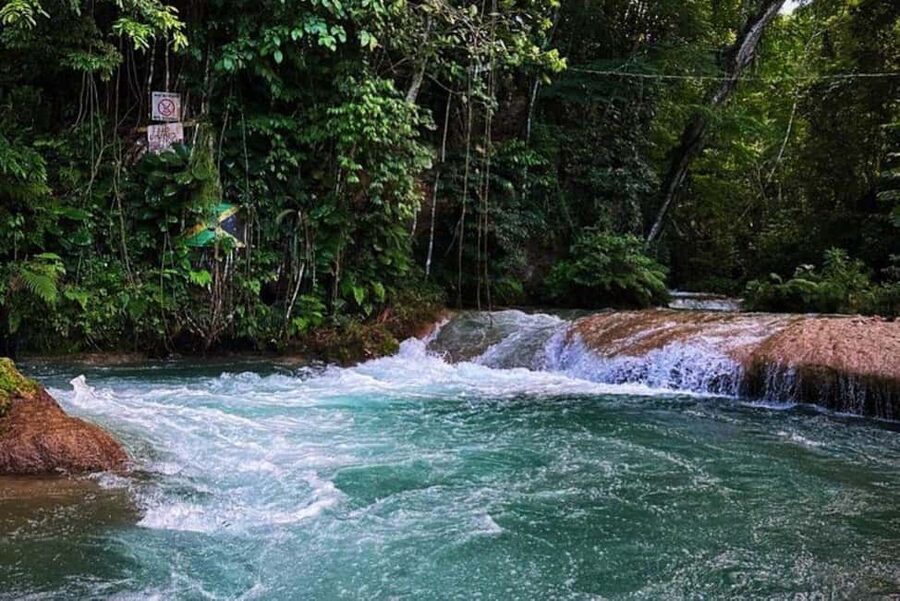 Montego Bay: Private Dunn's River Falls and Blue Hole Tour - Key things that make this tour work well