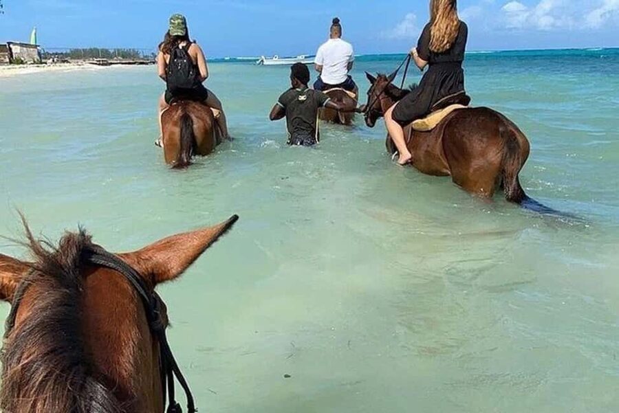 Montego Bay: Private Horseback Ride & Blue Hole Tour - Lunch Options, Jerk Chicken or Pork, and Souvenir Time
