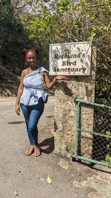 Montego Bay: Private Rocklands Bird Sanctuary Trip - Rocklands Bird Sanctuary in Anchovy: what makes the bird time special