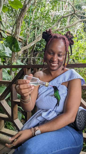Montego Bay: Private Rocklands Bird Sanctuary Trip - Should you book the Montego Bay Rocklands Bird Sanctuary trip?