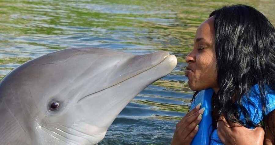Montego Bay: Swim With The Dolphins Adventure in Lucea - Getting From Your Hotel to Dolphin Cove, With Lucea Shopping Stops Built In