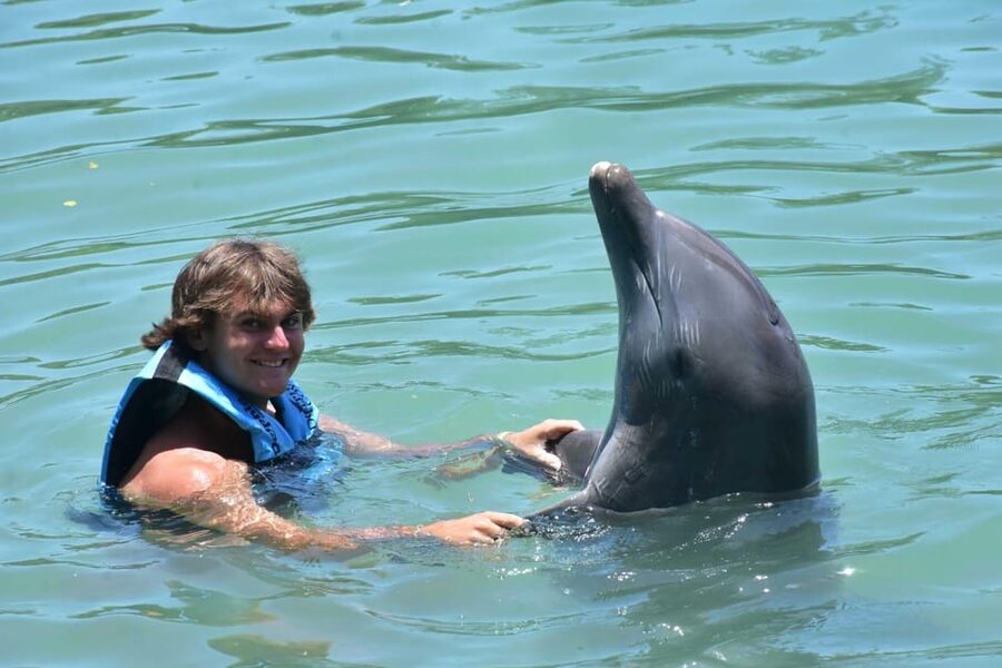 Montego Bay: Swim With The Dolphins Adventure in Lucea - The Dolphin Education Piece: Why the “Trained Professionals” Part Matters