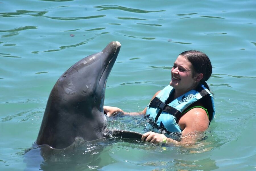 Montego Bay: Swim With The Dolphins Adventure in Lucea - Price and Value: Is $174 Worth It for a Dolphin Day?