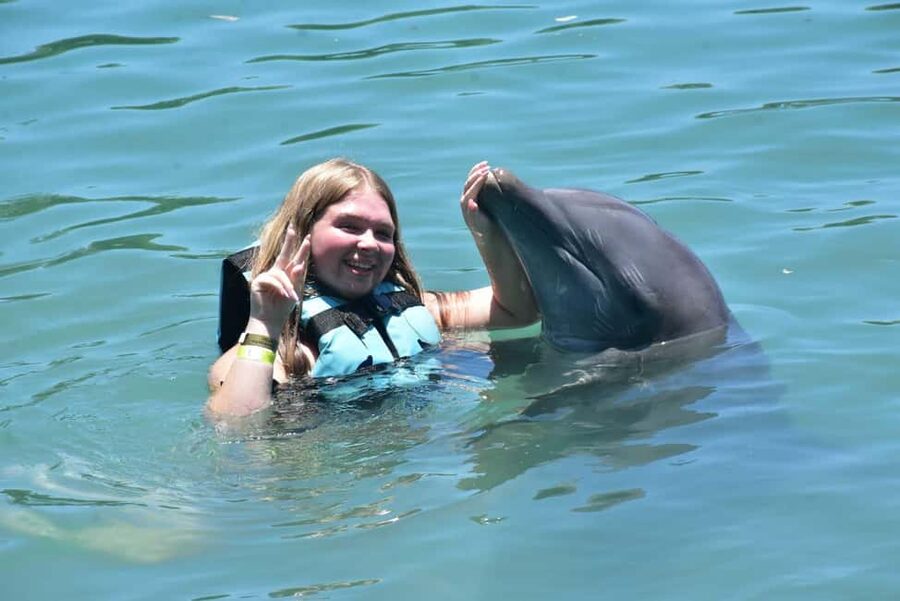 Montego Bay: Swim With The Dolphins Adventure in Lucea - Dolphin Cove Montego Bay: The Main 95 Minutes That Drive the Experience