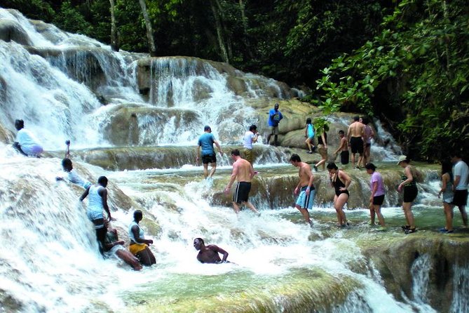 Montego Bay to Dunn's River Falls Half-Day Trip - Dunn’s River Falls: what you’re really signing up for