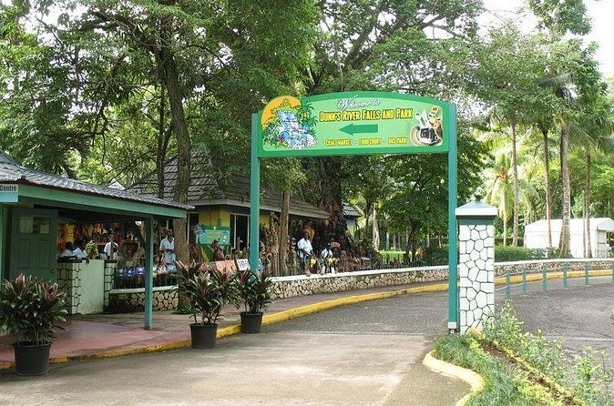Montego Bay to Dunn's River Falls Half-Day Trip - Value check: is $75 a fair deal from Montego Bay?