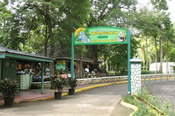 Montego Bay to Dunn's River Falls Half-Day Trip - Who should book, and who should skip this Dunn’s River Falls climb