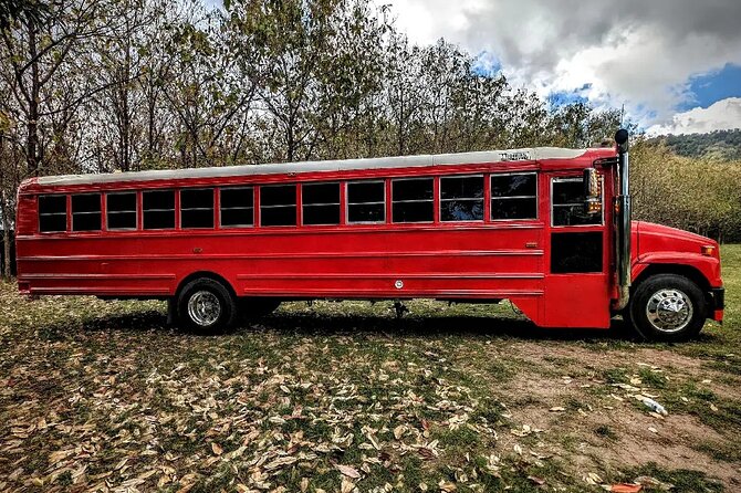 Montego Bay to Kingston PickUp & Drop-Off Service UP 20 PEOPLE - Who should book this service, and who might not