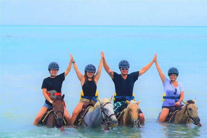 Negril 45-minute Guided Horseback Ride and Swim - The horses and the safety setup: what they include, and what it means