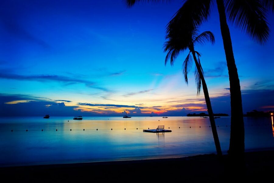 Negril 7-Hour Tour from Montego Bay - Key things that make this tour worth your time