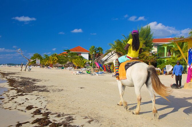 Negril 7 Mile Beach and Rick's Cafe Tour From Montego Bay Jamaica - Who should book this Negril plus Rick’s Café day