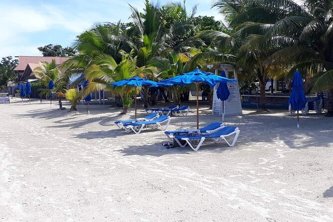 Negril 7 Miles Beach and Rick's Cafe Tour - Key Highlights You Should Know Before You Book