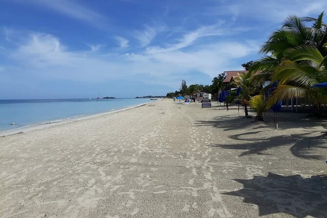 Negril 7 Miles Beach and Rick's Cafe Tour - How the Whole Day Flows: Timing, Crowds, and Being Able to Breathe