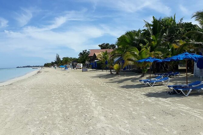 Negril 7 Miles Beach and Rick's Cafe Tour - Tips for Making the Most of Seven Mile Beach and Rick’s Café