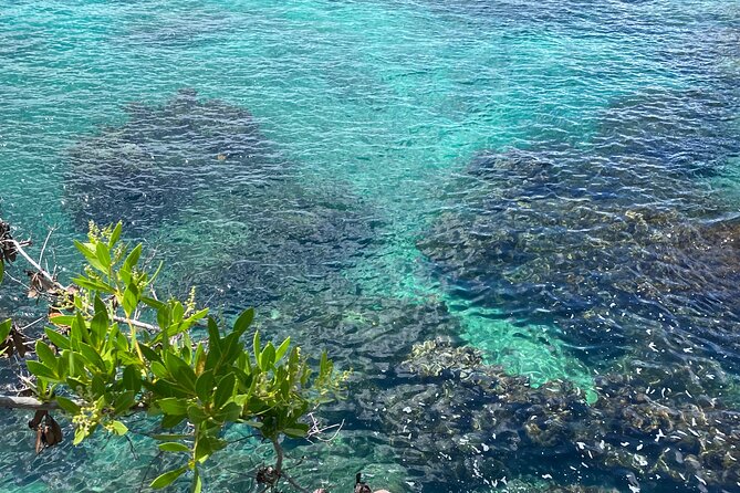 Negril day! beach and west end Cliffs with French Guide - Negril Cliffs: caves, dramatic water, and the Xtabi or Rick’s Cafe choice