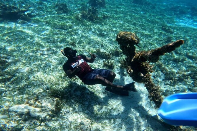 Negril Glass Bottom Boat Tour Snorkeling and Booby Cay - Key things I’d circle before you go