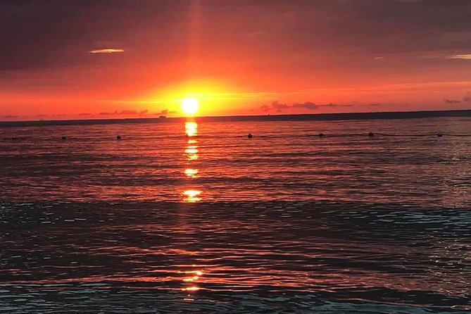 Negril One Love Bus Bar Crawl - The bar lineup: coastside vibes, a cave stop, and names to watch for