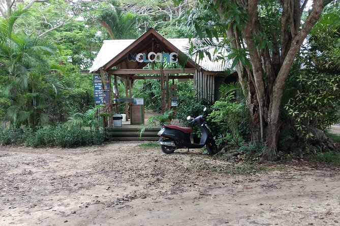 Negril Private and Public Beach with Ricks Cafe from Montego Bay - Boardwalk Village at Negril Resort and Hotel: a practical break on the same strip