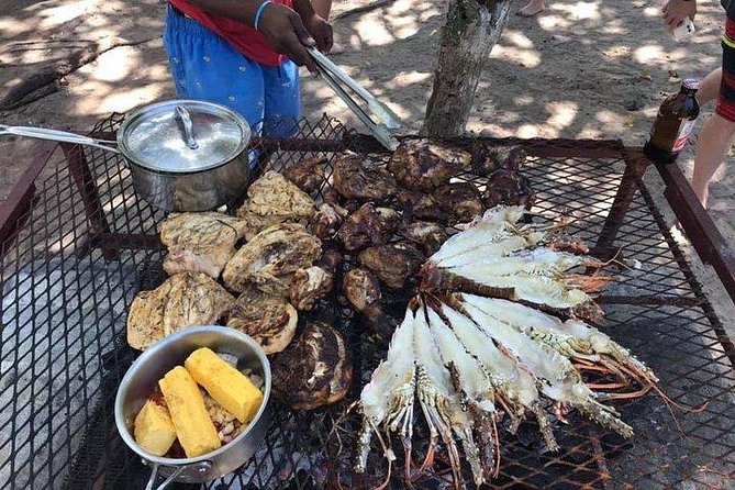 Negril Ricks cruise PLUS Booby Cay Lobster & Cave Snorkeling - Who should book this, and who might want something else