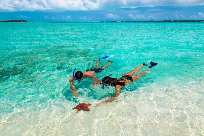 Negril Seven Miles Beach, Snorkeling, Boat Ride, Ricks Cafe Combo - Key highlights to pay attention to