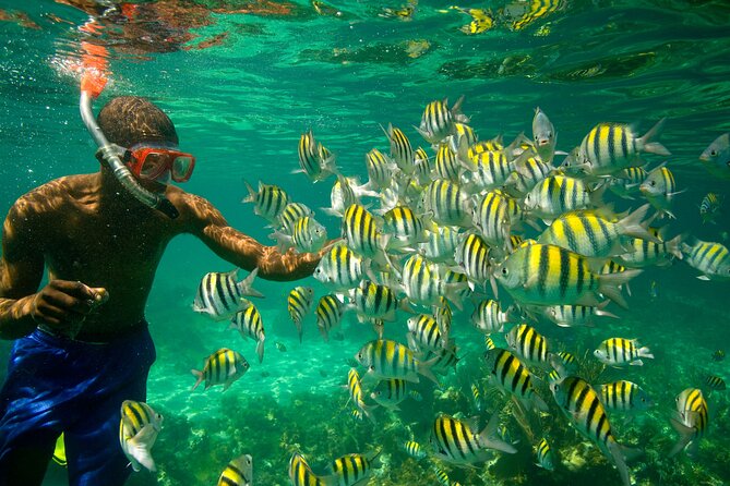 Negril Seven Miles Beach, Snorkeling, Boat Ride, Ricks Cafe Combo - Margaritaville and snack breaks before Rick’s Cafe