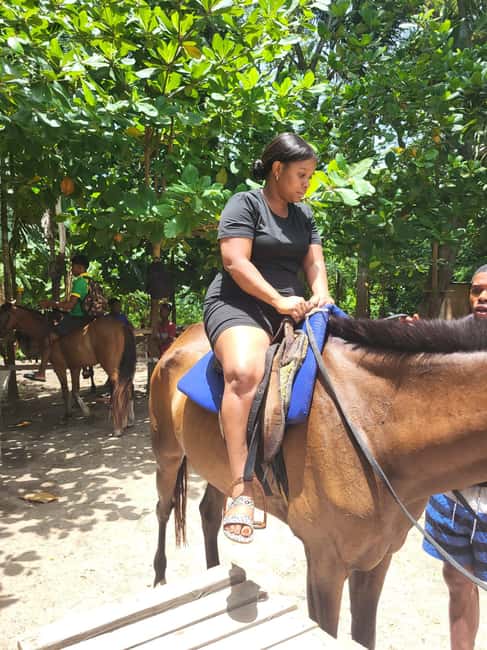 Ocho Rios : Bamboo River Rafting and HorseBack Riding - Pickup and drop-off, including cruise port coordination
