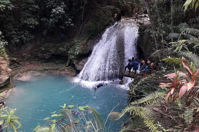 Ocho Rios Blue Hole and Dunn's River Falls Tour - Group size, maximum 25, and what that means for your day