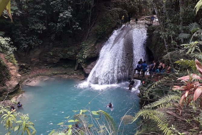 Ocho Rios Blue Hole and Dunn's River Falls Tour - Blue Hole stop: rope swing, cliff jumping, and clear spring-water fun