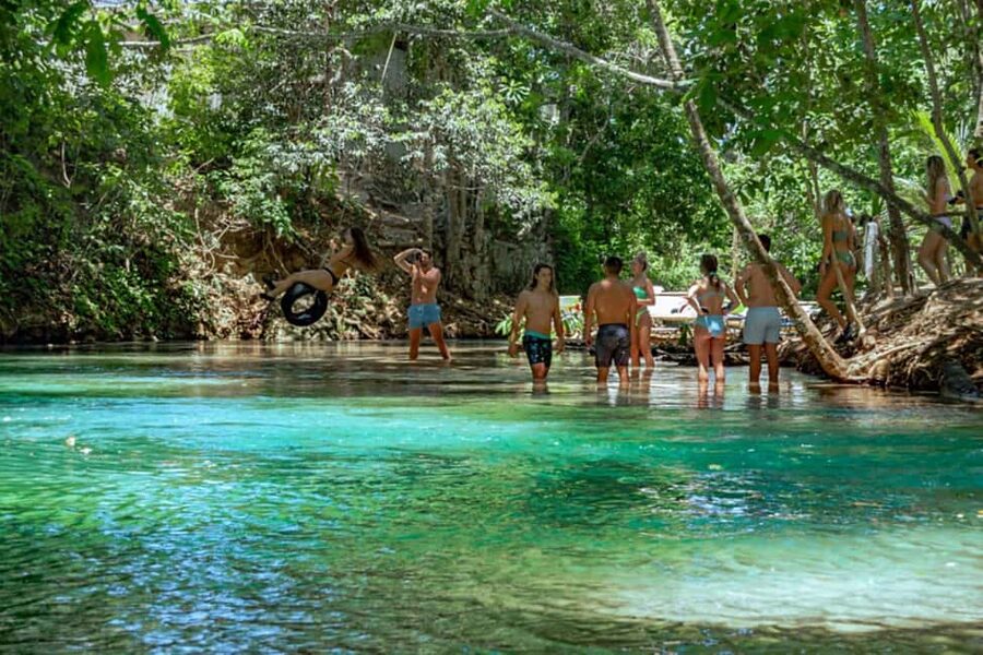 Ocho Rios: Blue Hole, Dunn’s River & Reggae Hill Guided Tour - Should you book this Blue Hole, Dunn’s River, and Reggae Hill tour?