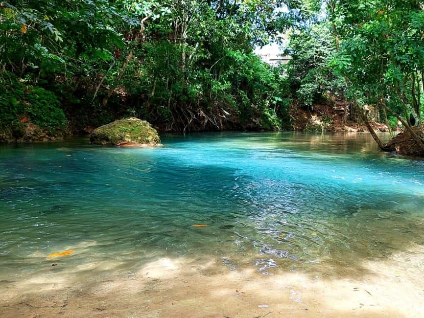 Ocho Rios: Blue Hole, Dunn’s River & Reggae Hill Guided Tour - Dunn’s River Falls: holding hands on a natural stone staircase