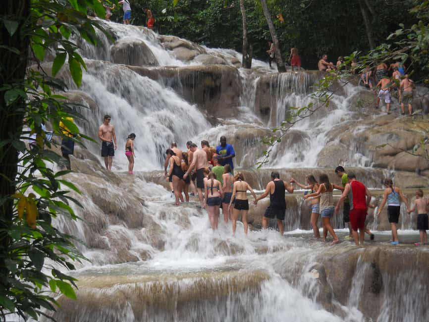 Ocho Rios: Dunn’s River Falls & Reggae Hill Tour - What’s included for $95, and why it can be good value on a cruise day