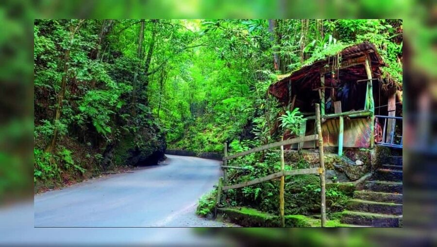 Ocho Rios: Guided Sightseeing Tour - Fern Gully, Sea Views, and Real-Life Ocho Rios in One Short Tour