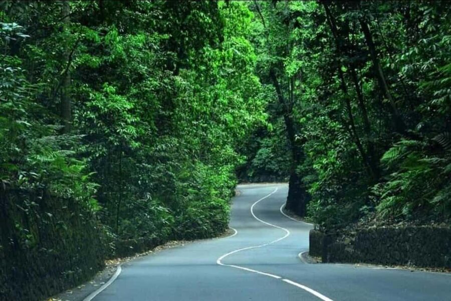 Ocho Rios: Guided Sightseeing Tour - Who Should Book This Tour (and Who Might Skip It)