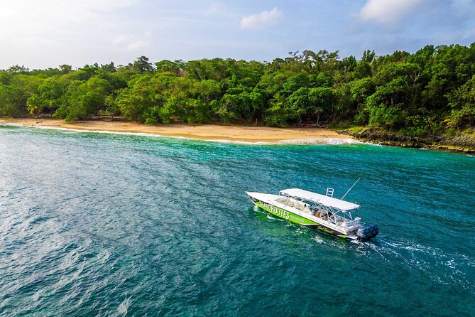 Ocho Rios Powerboat & Dunn’s River Falls Adventure - Powerboat To Laughing Waters Beach, Then Back To Nature Fast