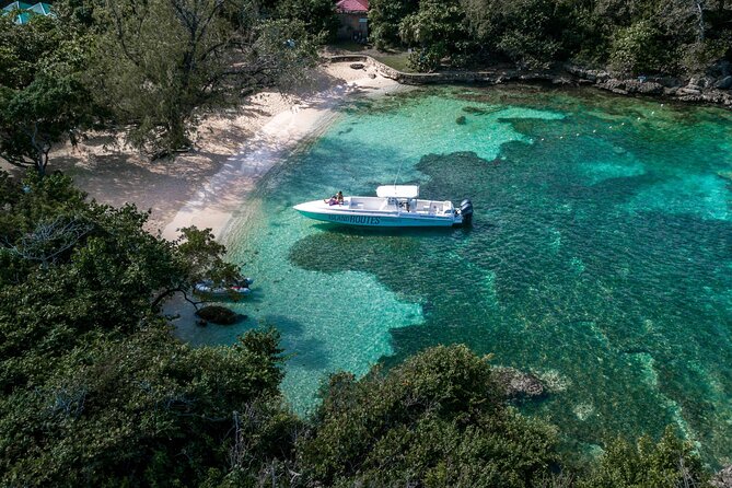 Ocho Rios Powerboat & Dunn’s River Falls Adventure - Hotel Pickup and Drop-Off, and Why Small Groups Matter