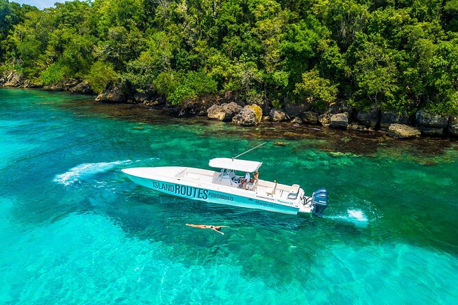 Ocho Rios Powerboat & Dunn’s River Falls Adventure - Price and Value of the $240 Per Person Package